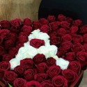Red Rose in the Box