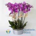 8 Branch White Orchid Metallvase