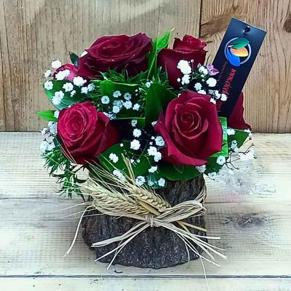 5 Red Roses in a Wooden Stump